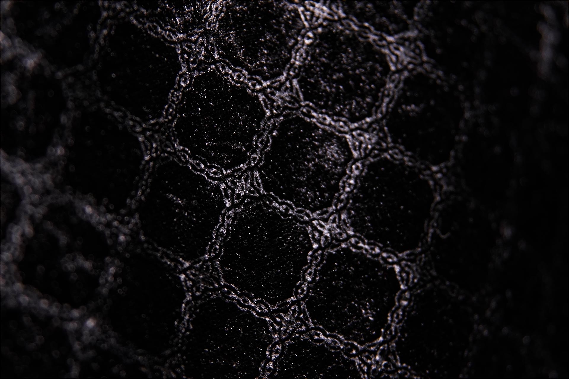 [PHOTO:FSAC-1709:photo02]