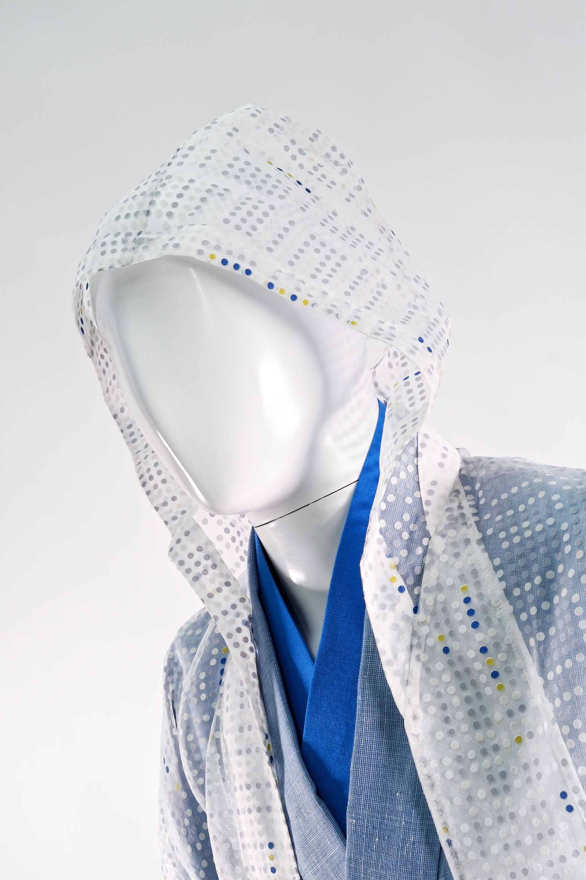 [PHOTO:FSSC-1706:photo02]