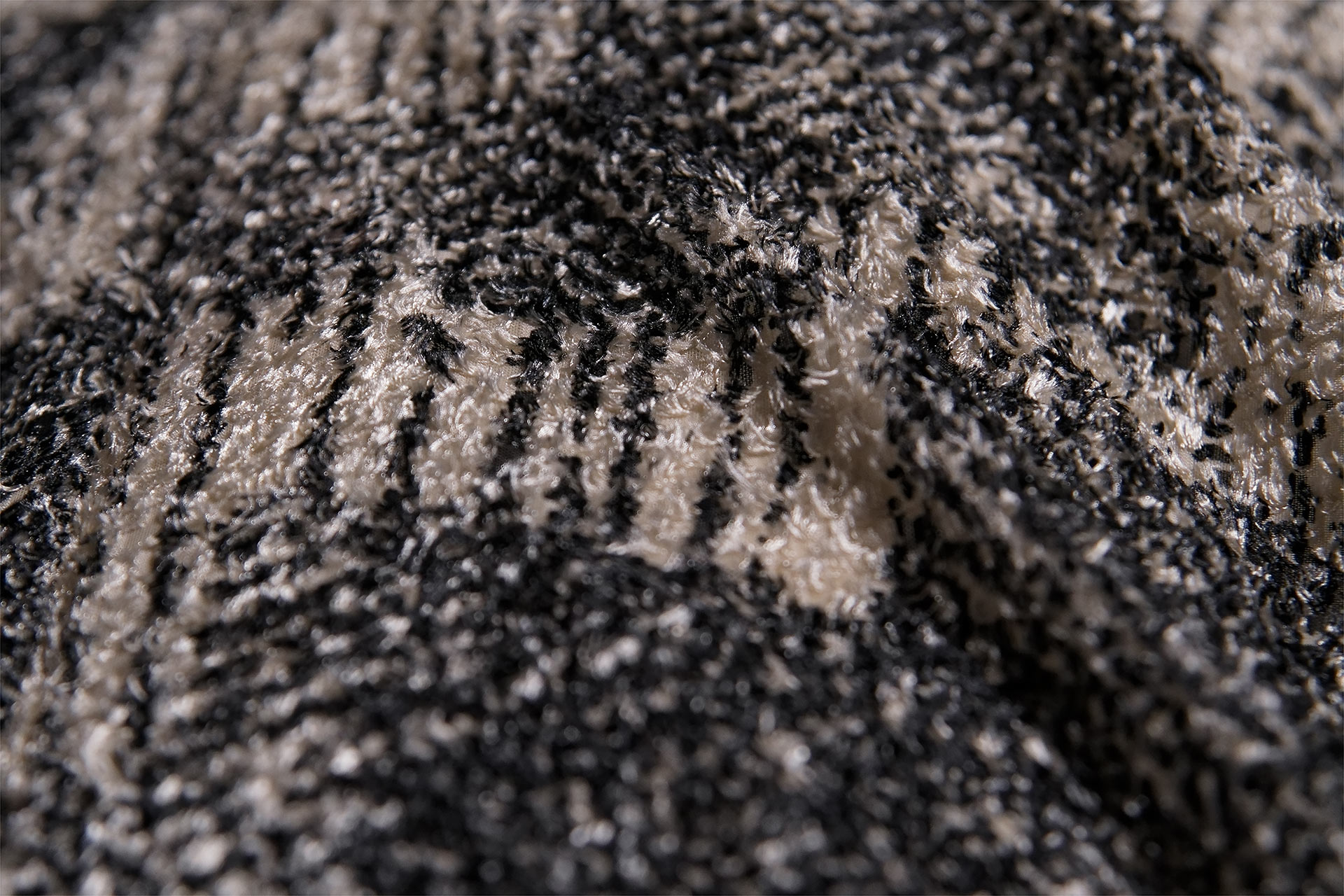 [PHOTO:FSWC-1711:photo01]