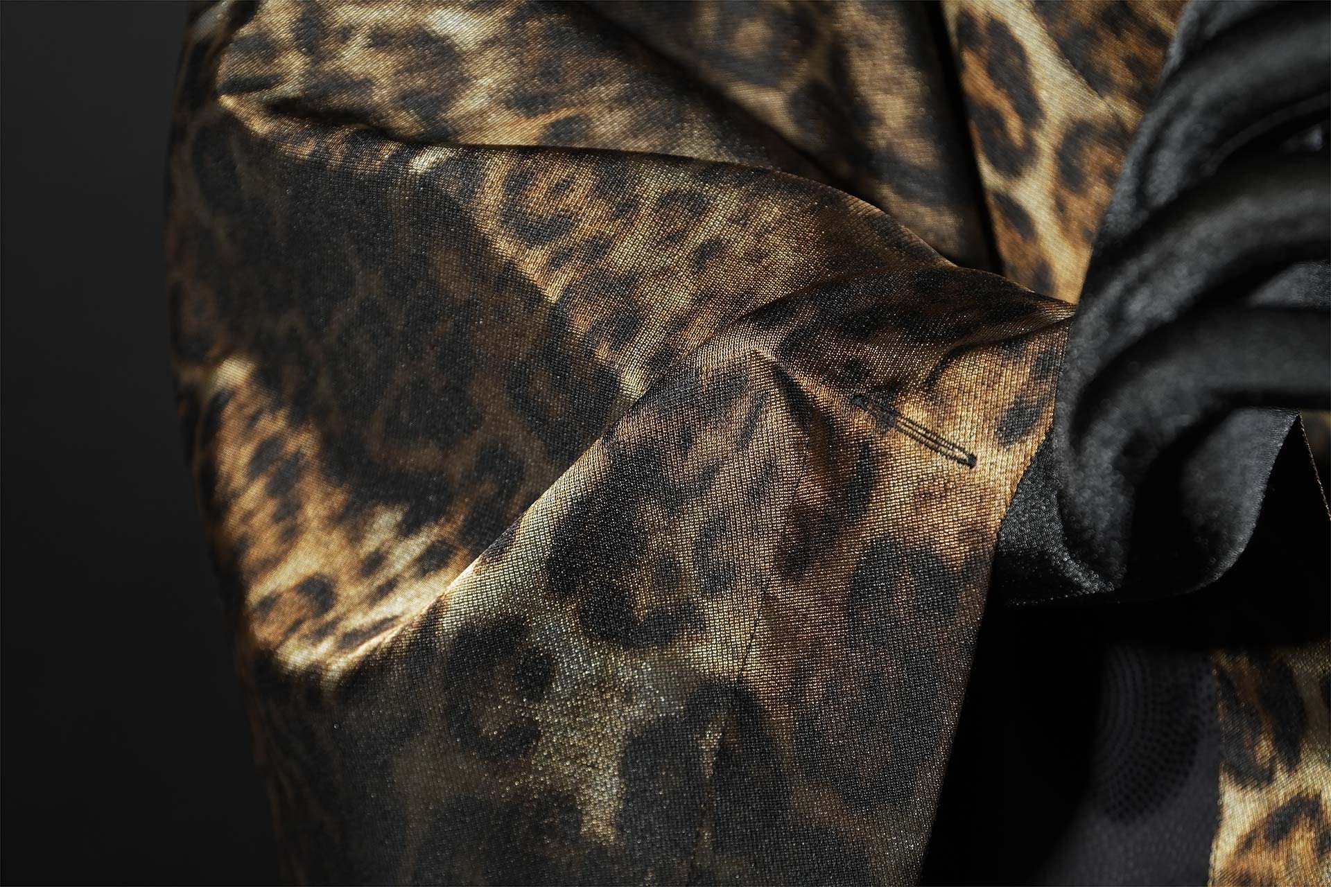 [PHOTO:FSAC-1804:photo01]