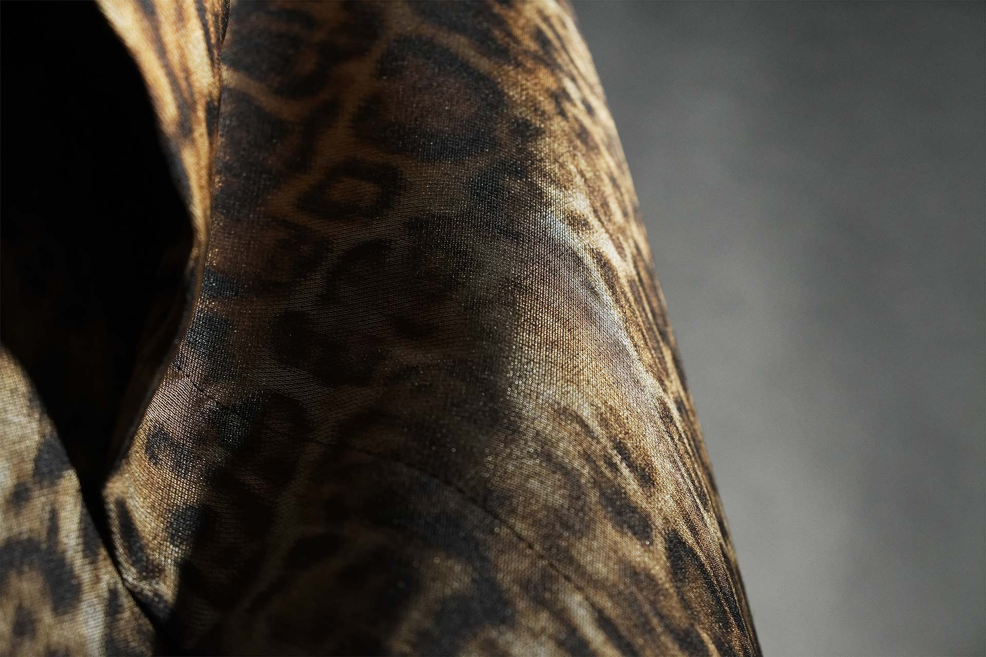 [PHOTO:FSAC-1804:photo03]