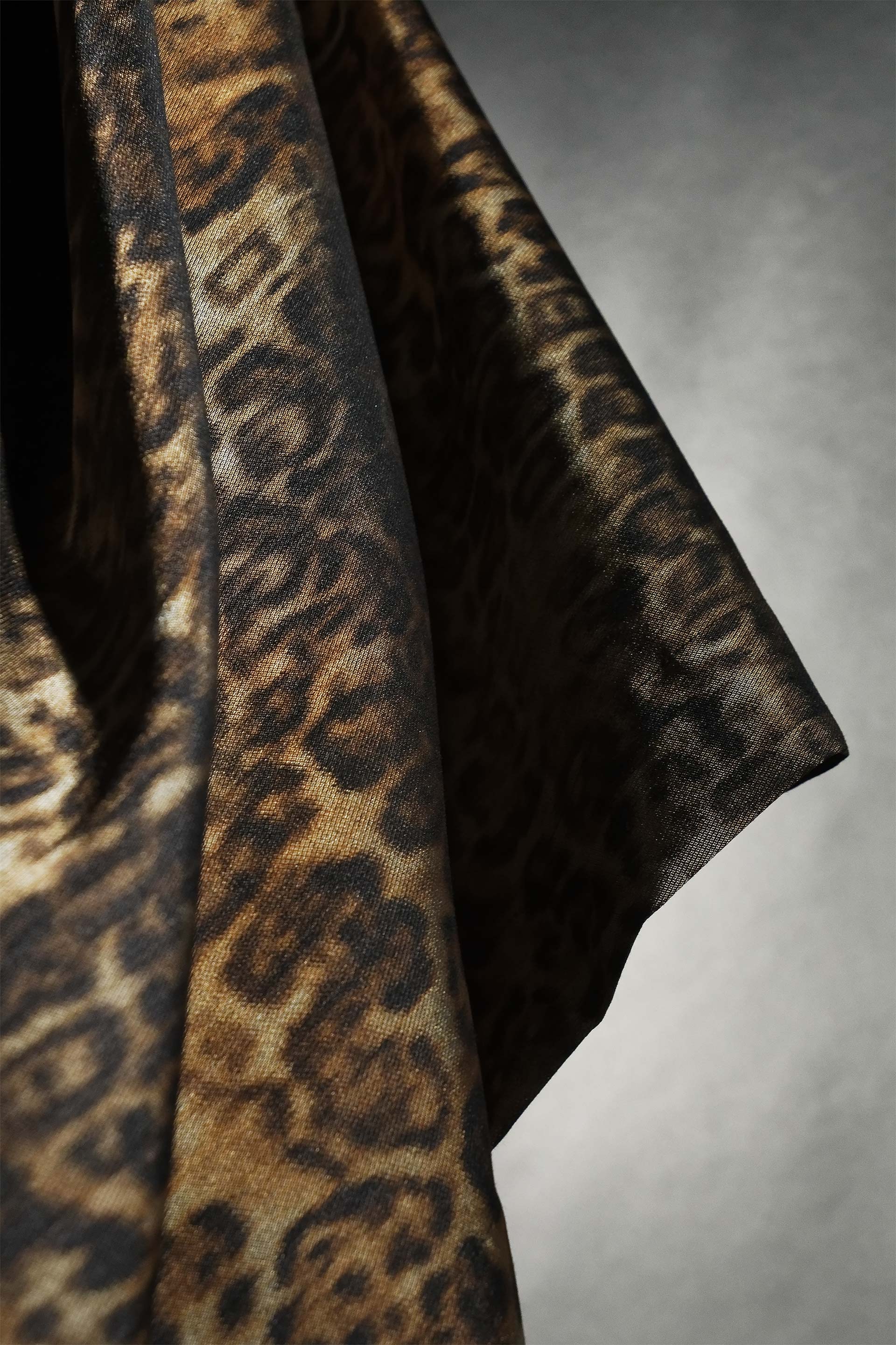 [PHOTO:FSAC-1804:photo05]