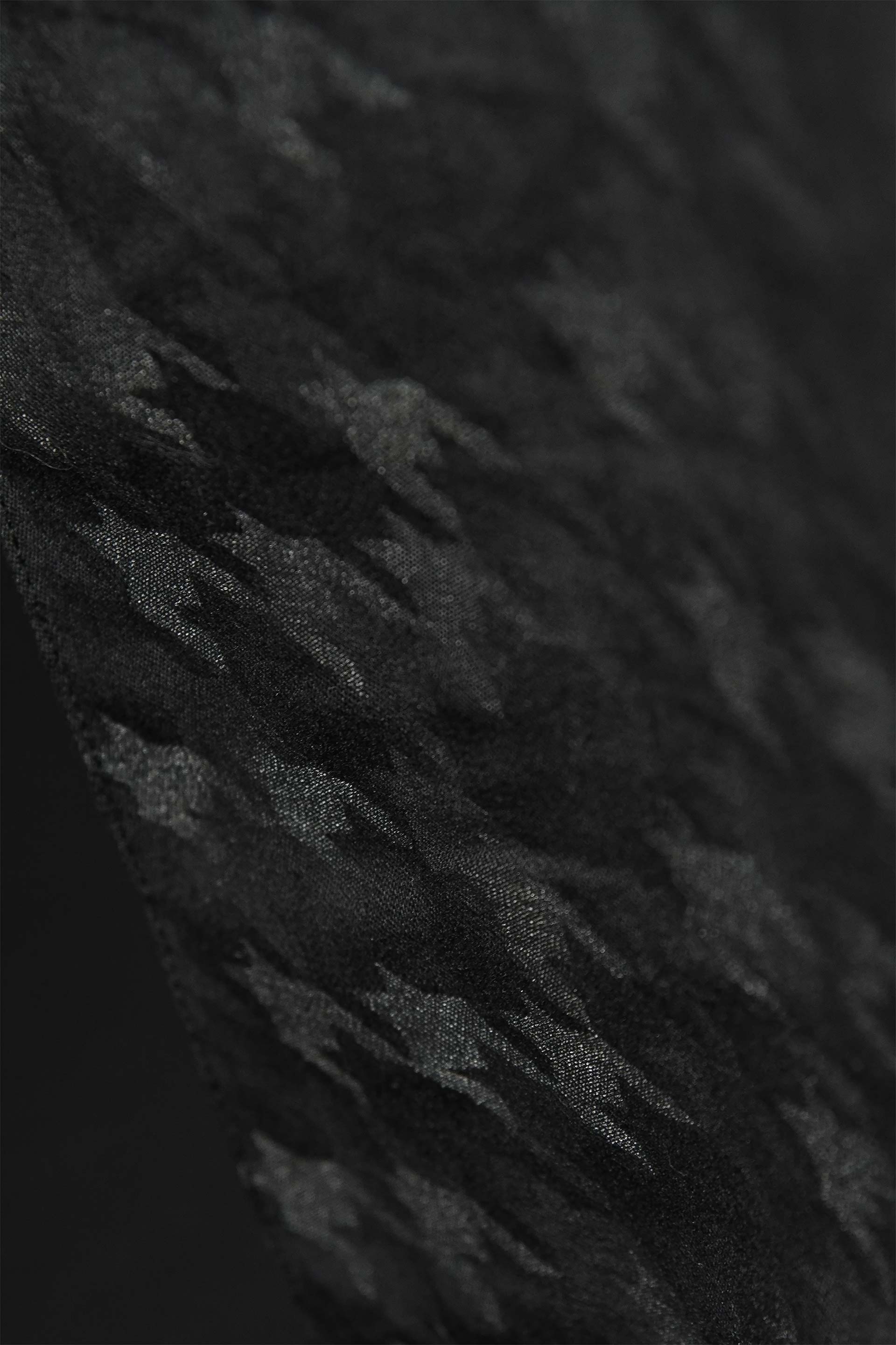 [PHOTO:FSAC-1809:photo02]