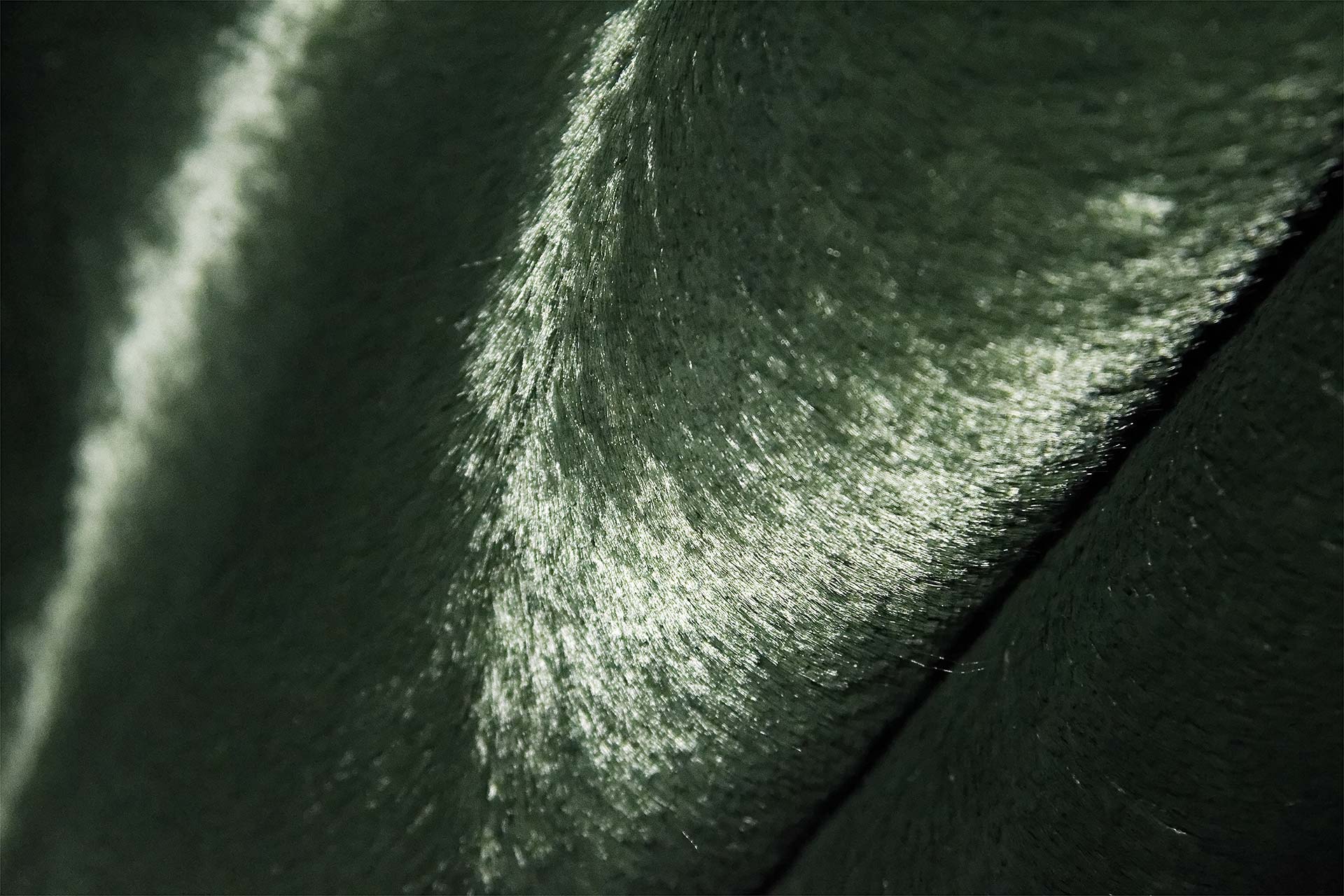 [PHOTO:FSWC-1802:photo01]