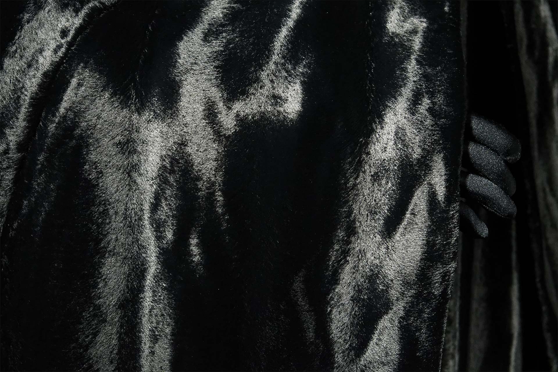 [PHOTO:FSWC-1806:photo01]