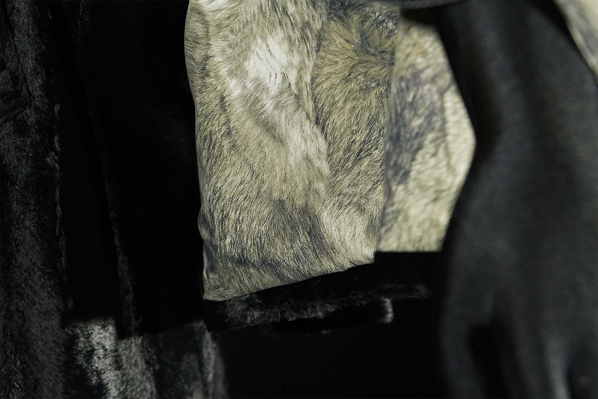 [PHOTO:FSWC-1806:photo03]