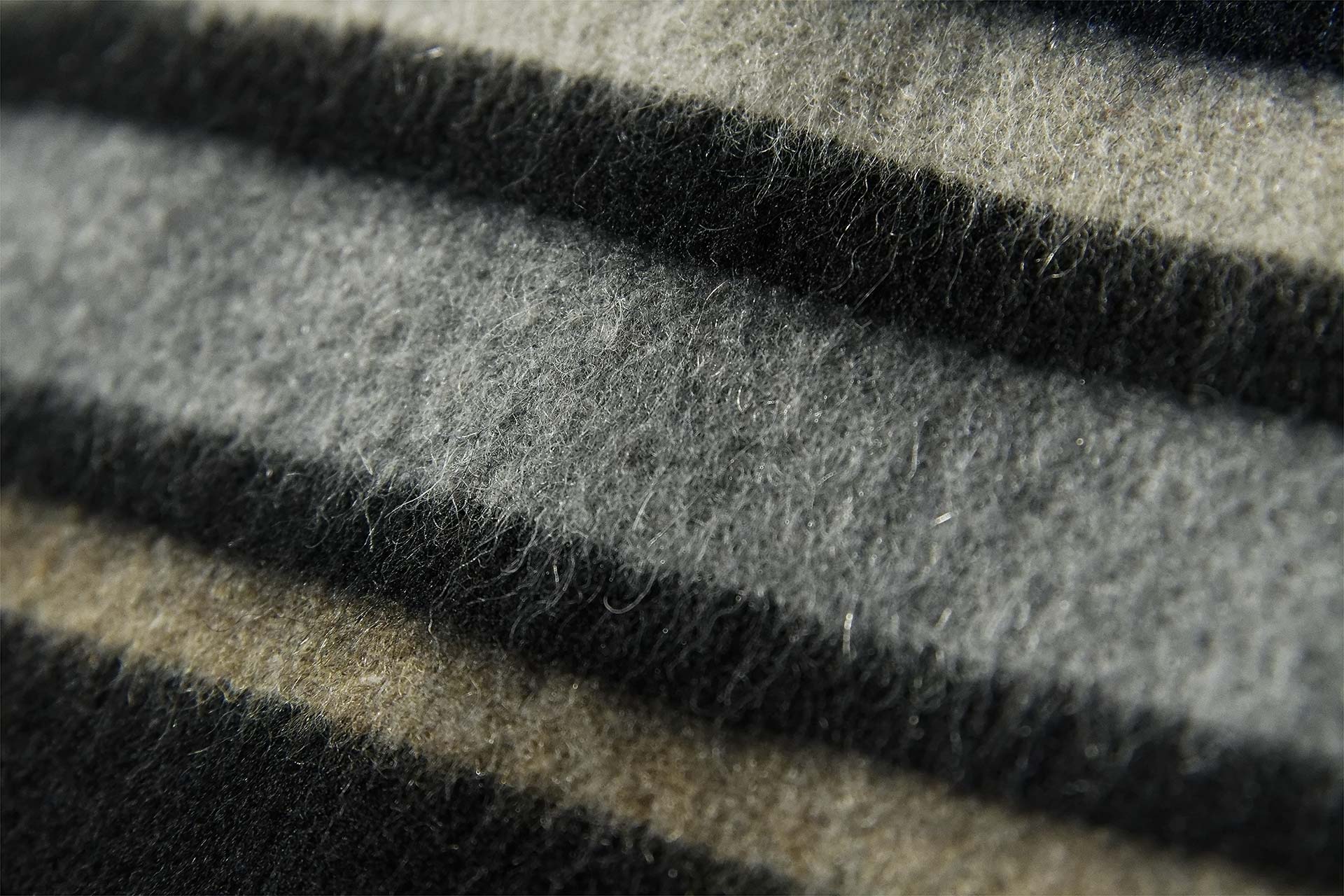 [PHOTO:FSWC-1809:photo01]