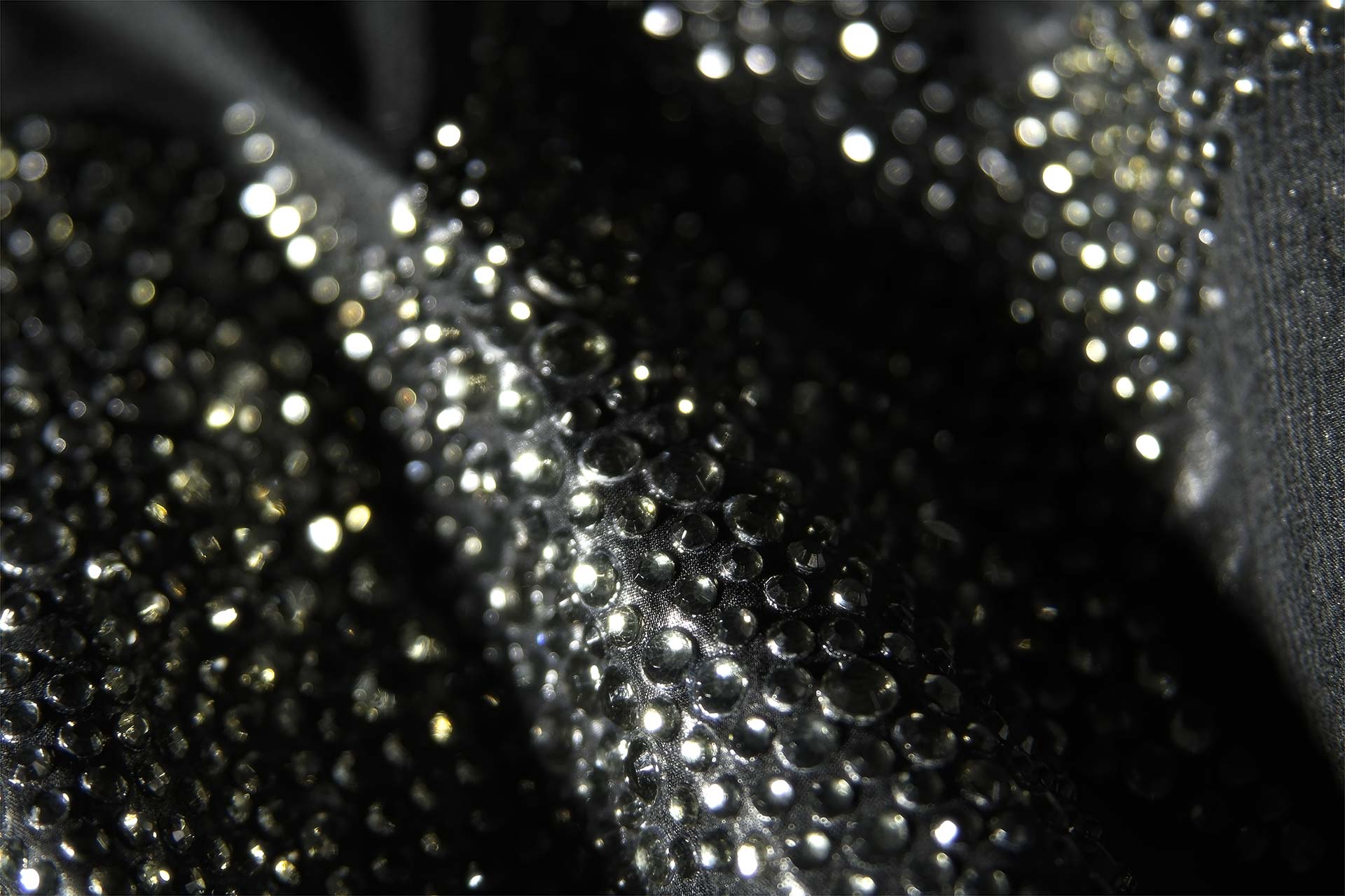 [PHOTO:FSAC-1902:photo02]