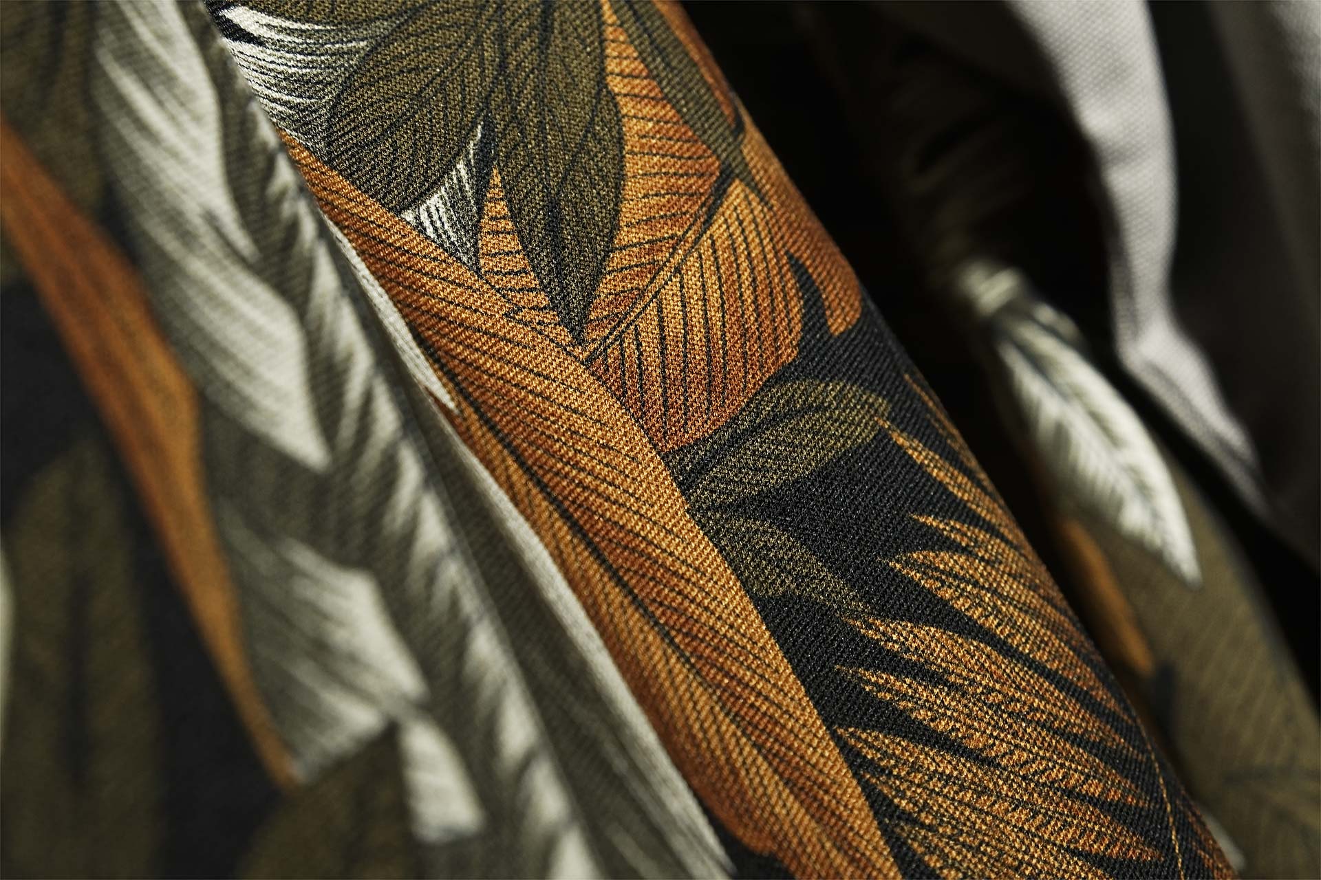 [PHOTO:FSAC-1909:photo03]