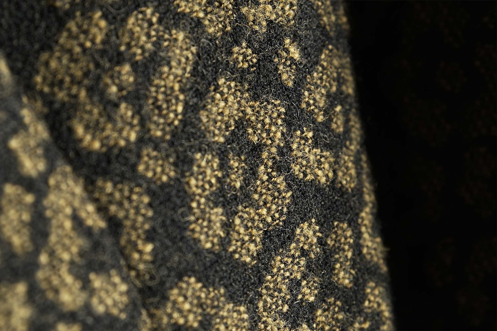 [PHOTO:FSAC-1909:photo05]