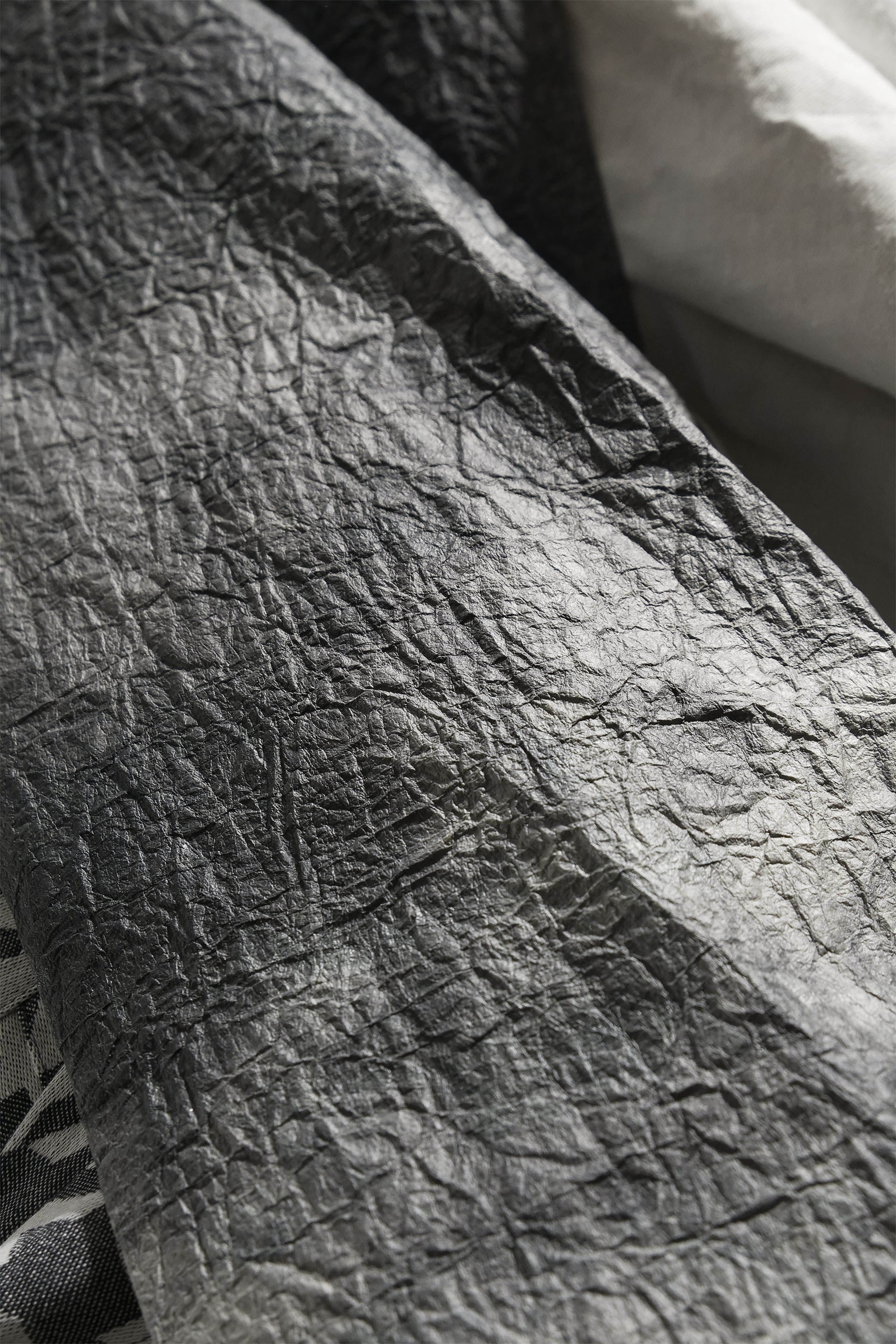 [PHOTO:FSPC-1902:photo01]