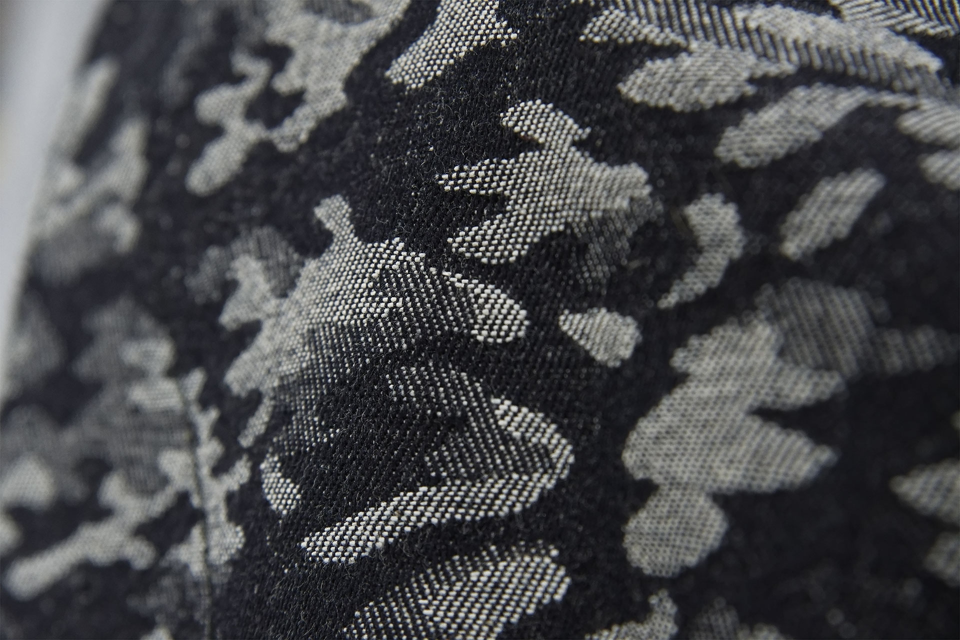 [PHOTO:FSPC-1903:photo02]