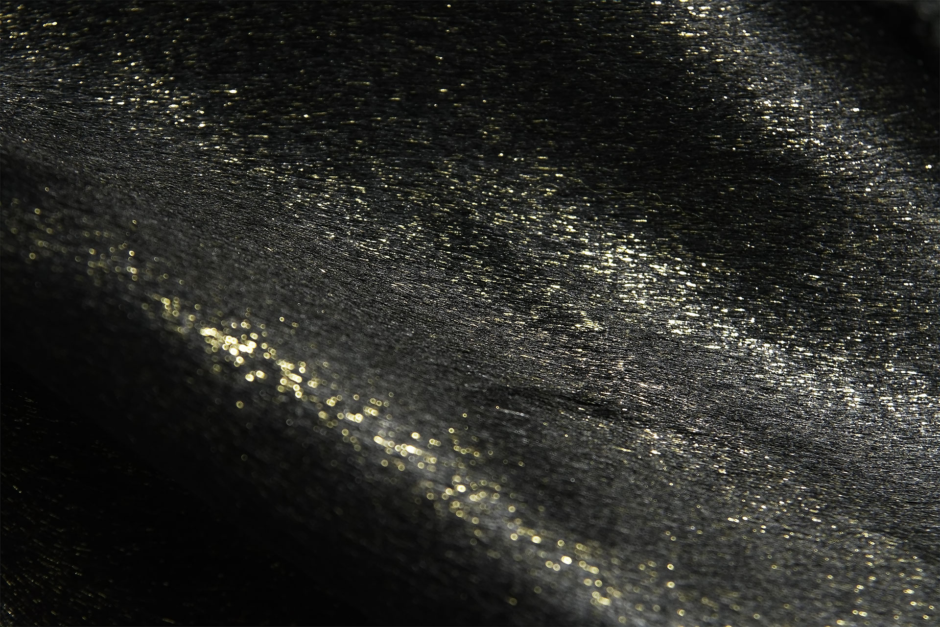 [PHOTO:FSPC-1909:photo02]