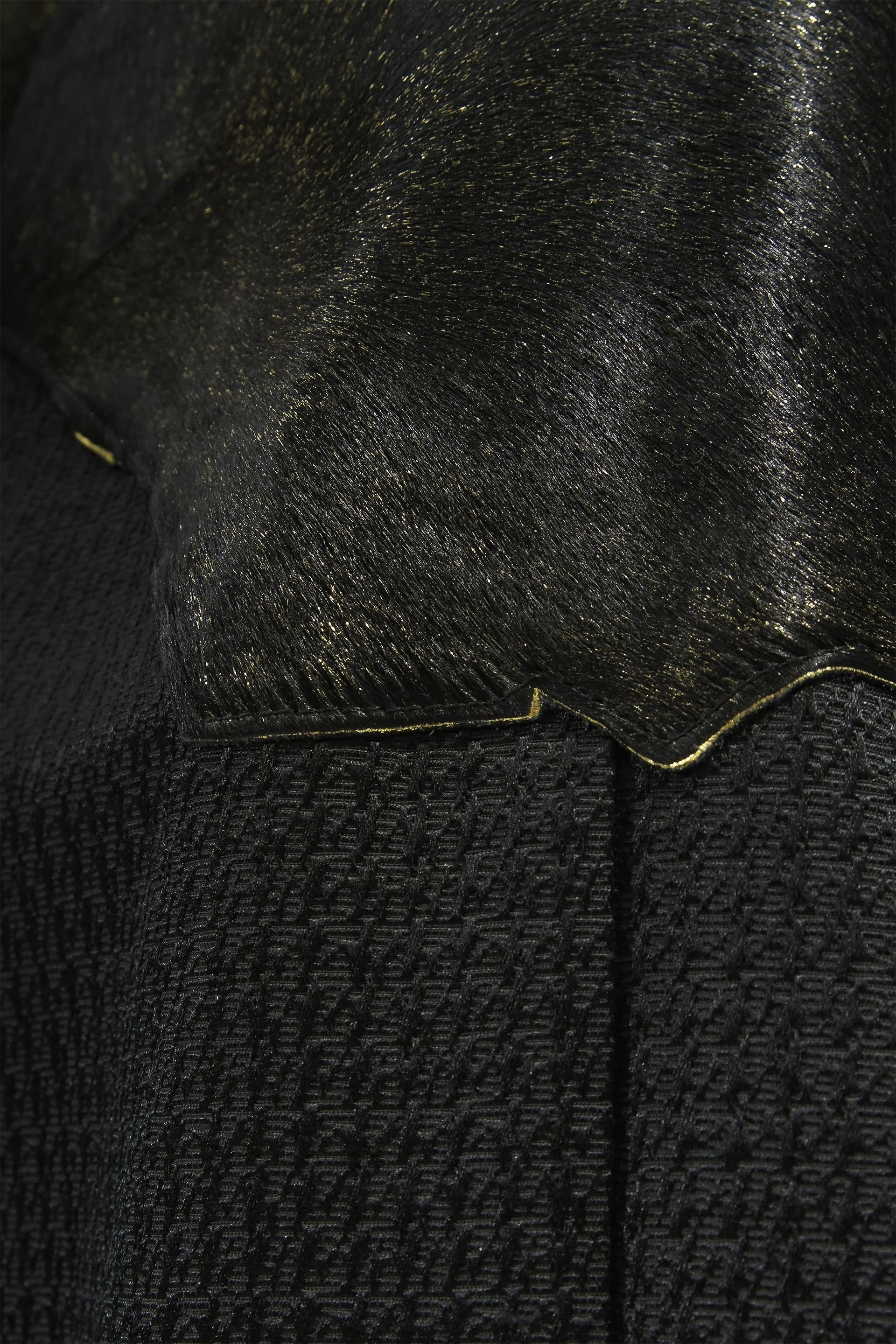 [PHOTO:FSPC-1909:photo05]