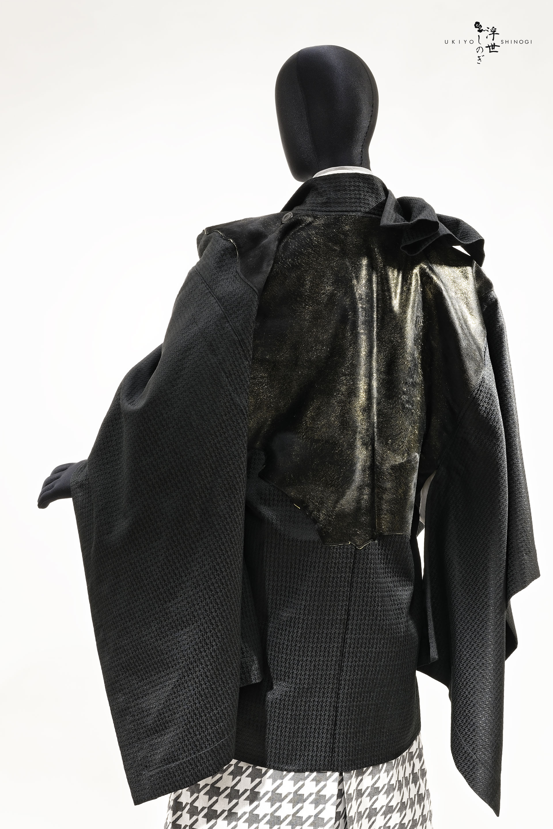 [PHOTO:FSPC-1909:main]