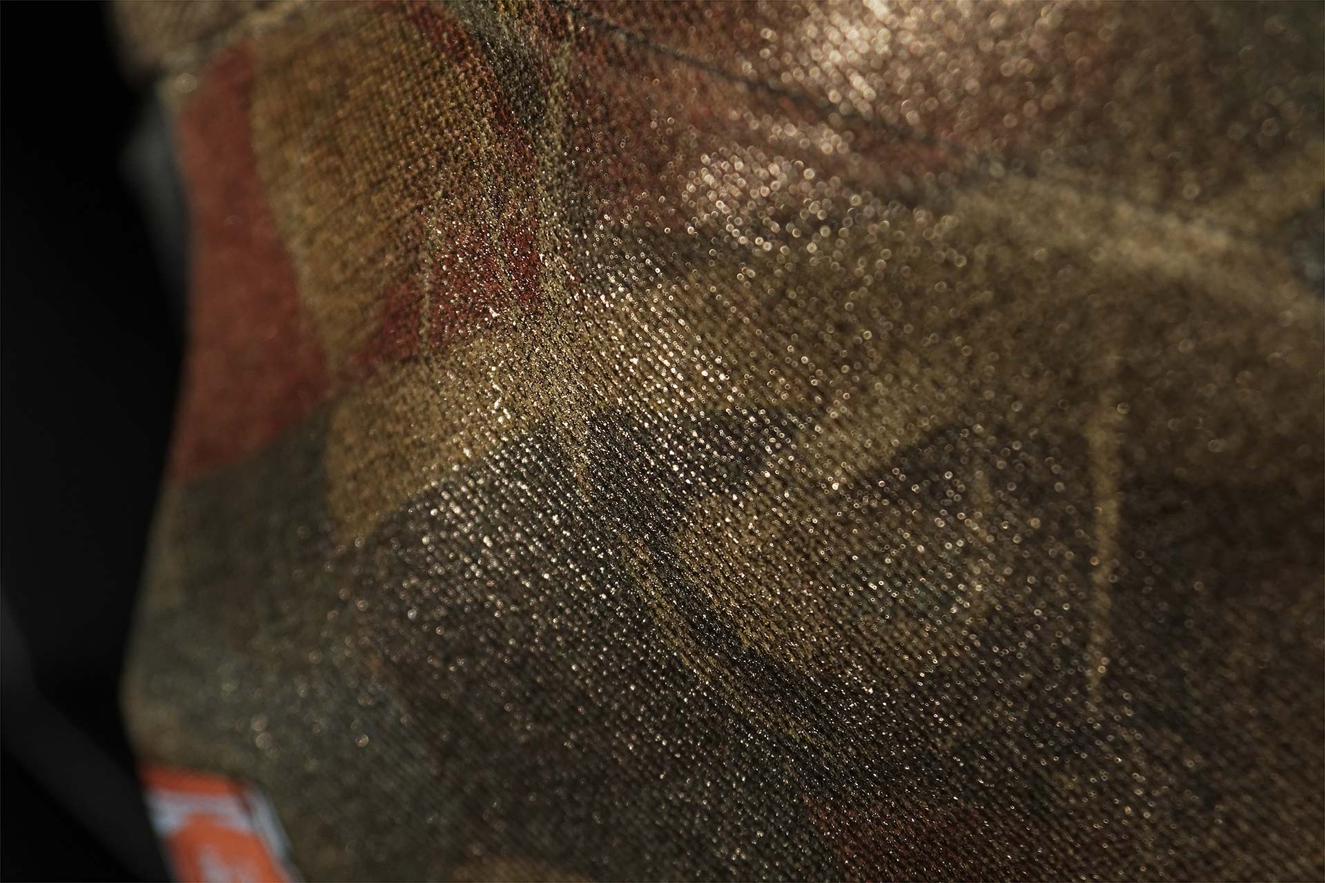 [PHOTO:FSWC-1905:photo01]