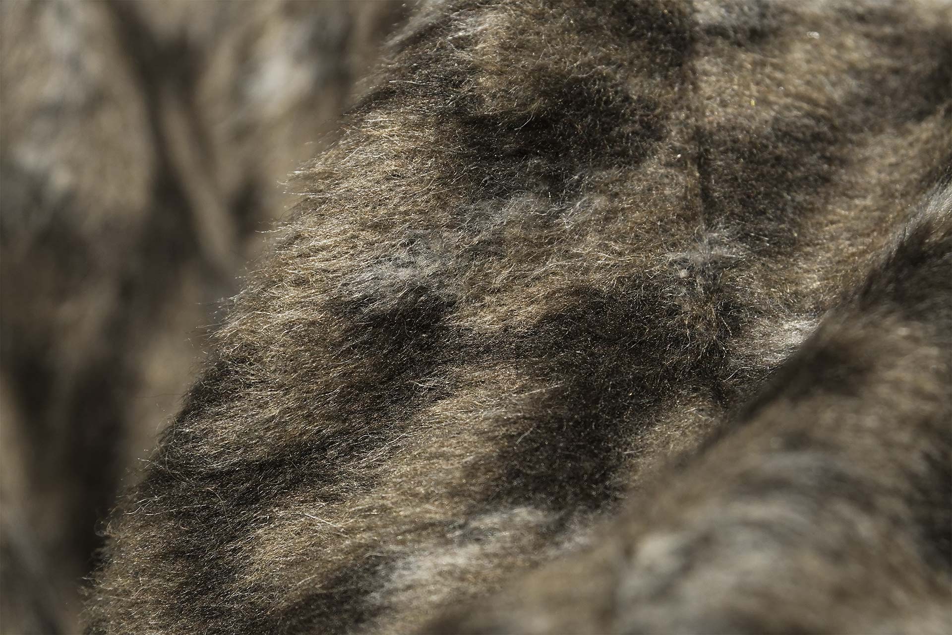 [PHOTO:FSWC-1906:photo02]