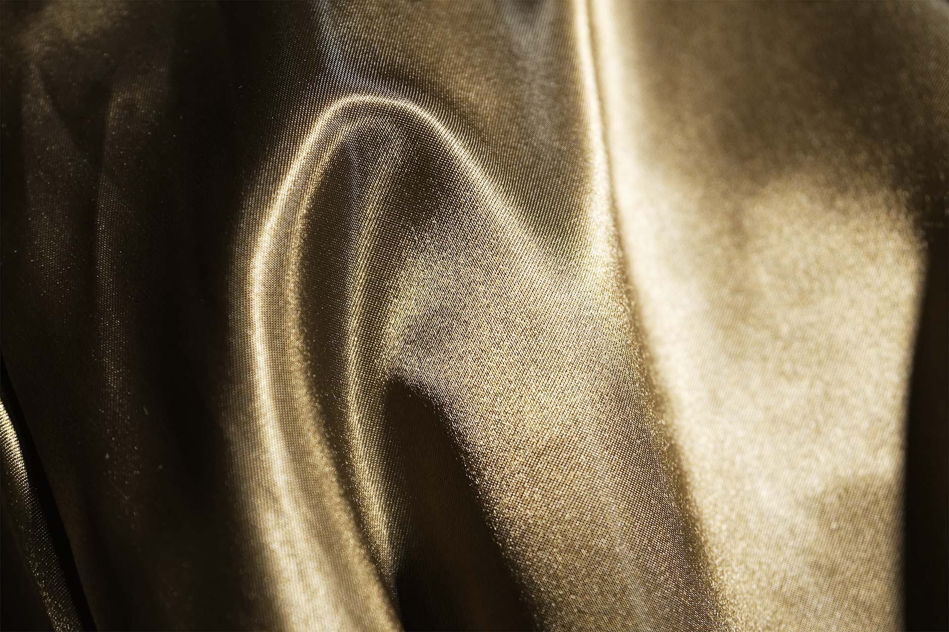 [PHOTO:FSWC-1906:photo03]