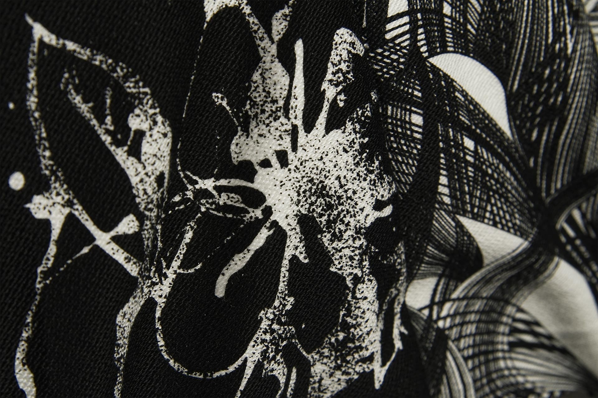 [PHOTO:FSAC-2009:photo01]