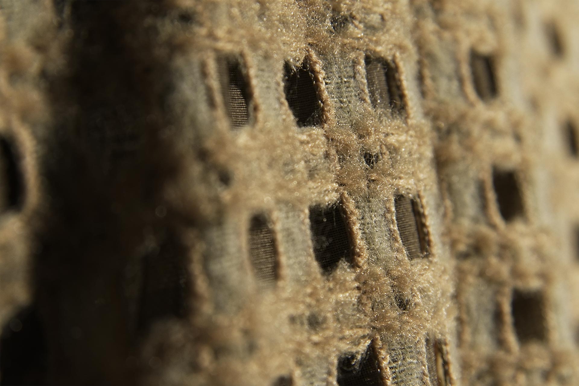 [PHOTO:FSAC-2011:photo01]