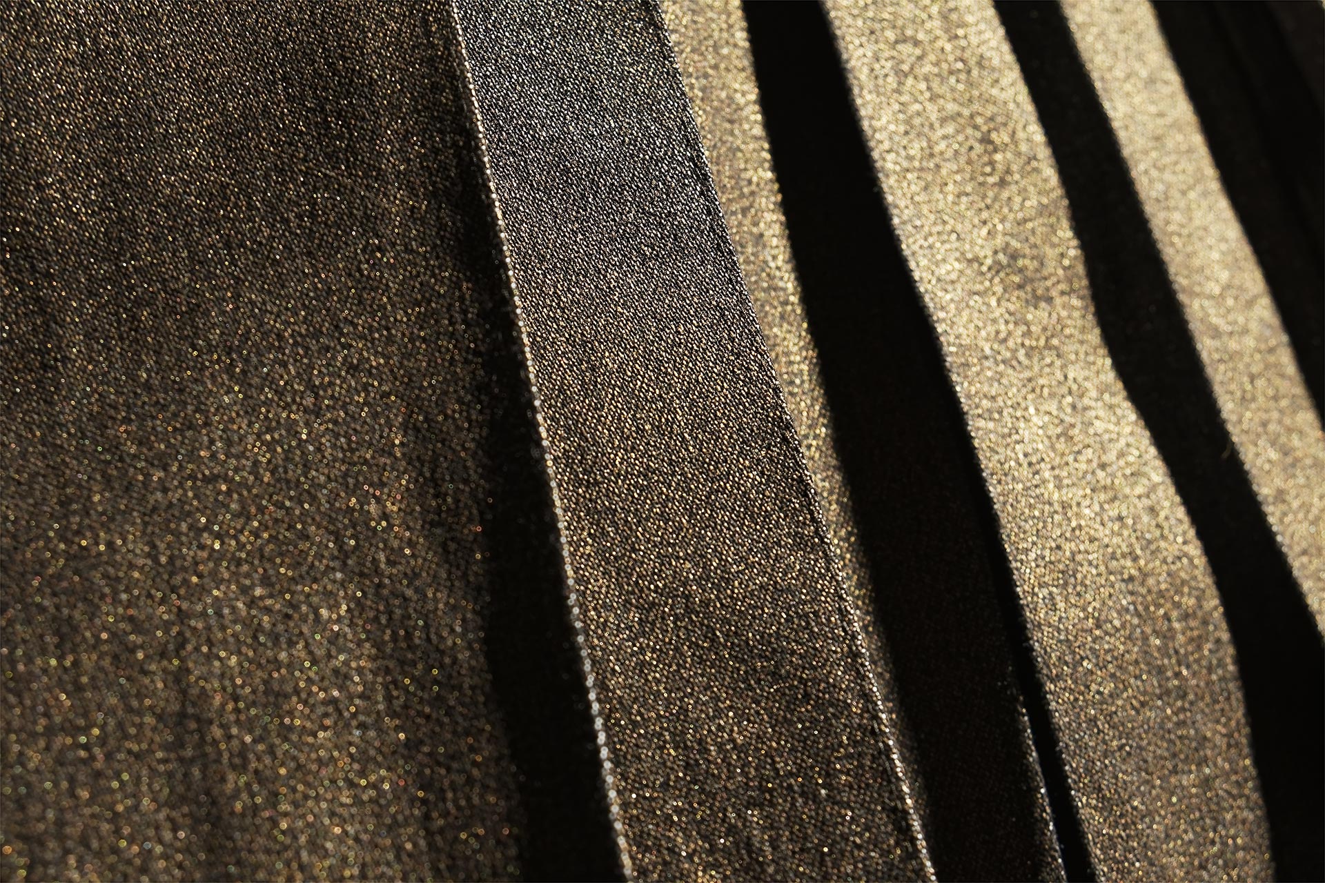 [PHOTO:FSAC-2012:photo03]