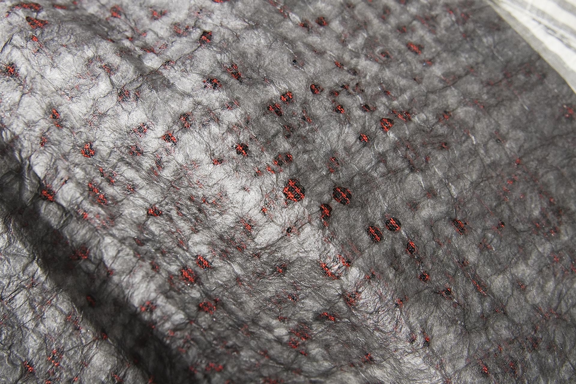 [PHOTO:FSPC-2001:photo01]