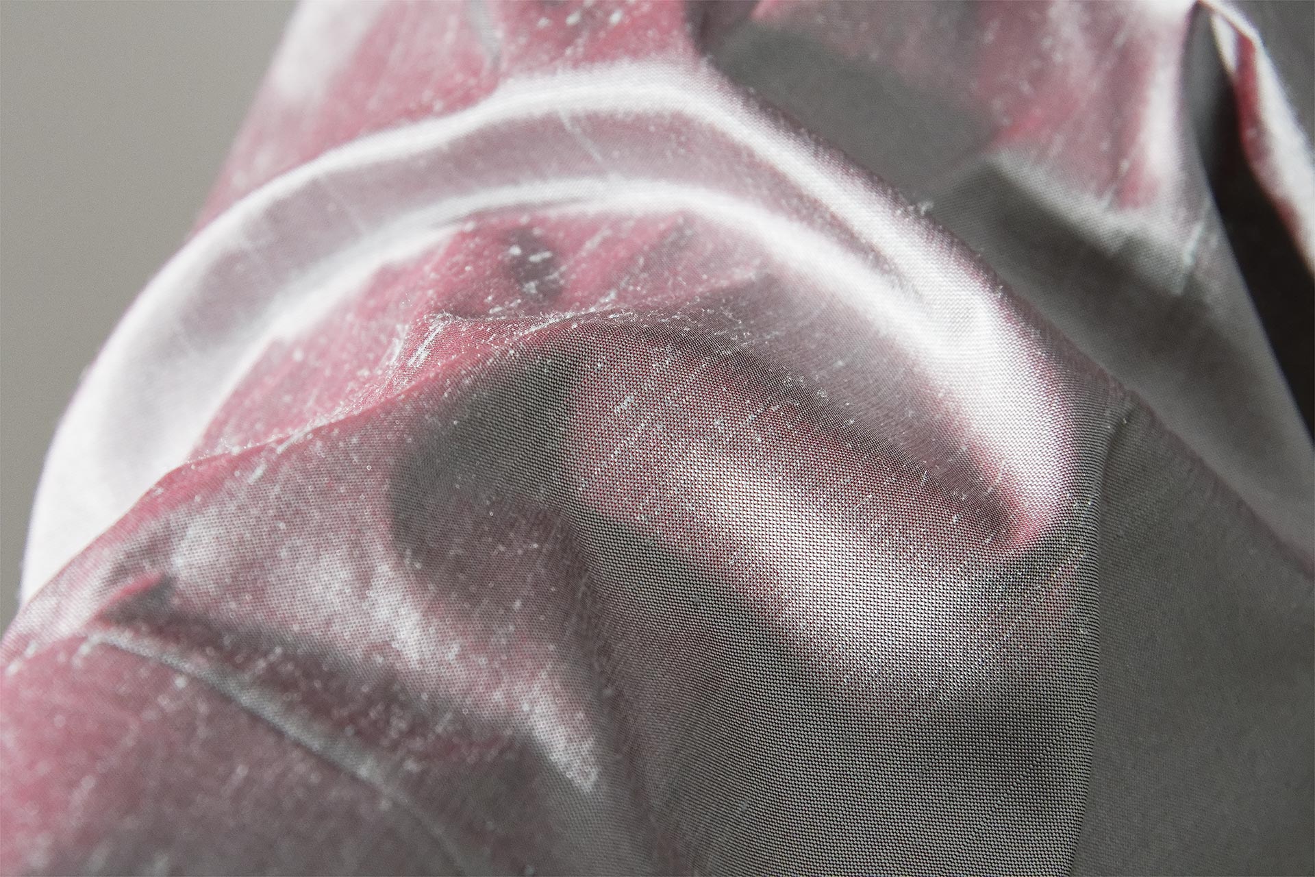 [PHOTO:FSPC-2004:photo01]