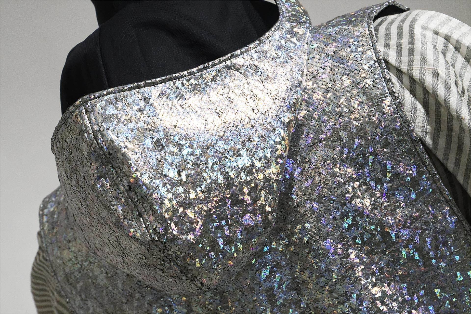 [PHOTO:FSPC-2006:photo03]