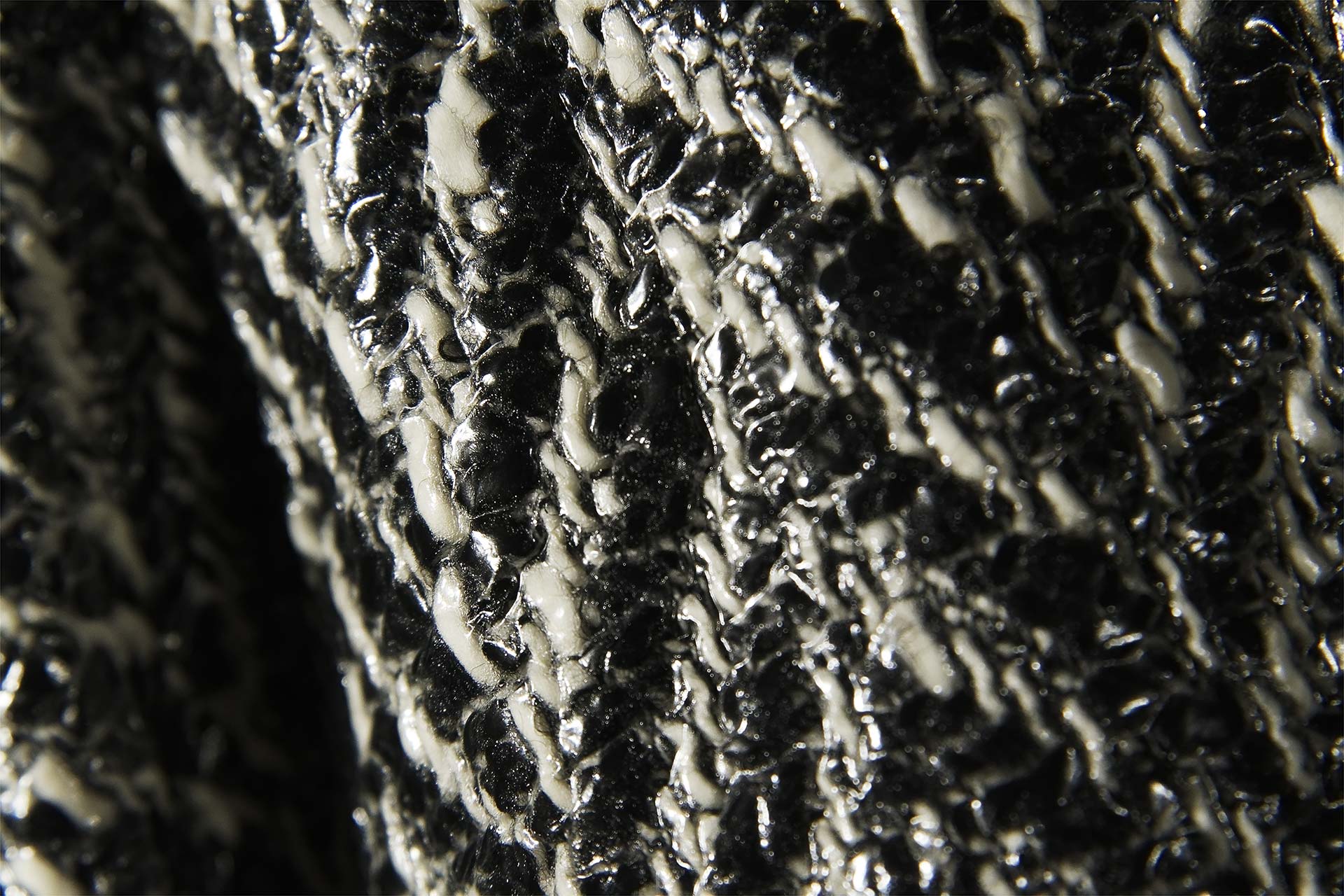 [PHOTO:FSWC-2001:photo01]