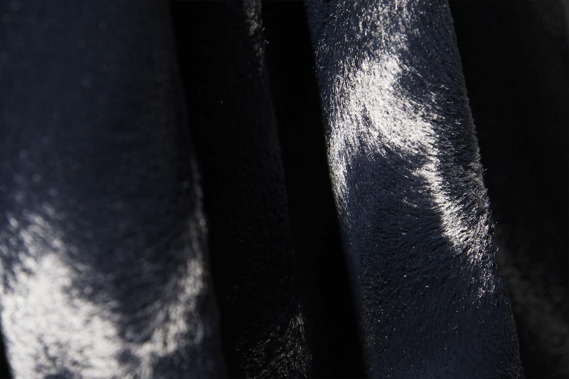 [PHOTO:FSWC-2004:photo02]