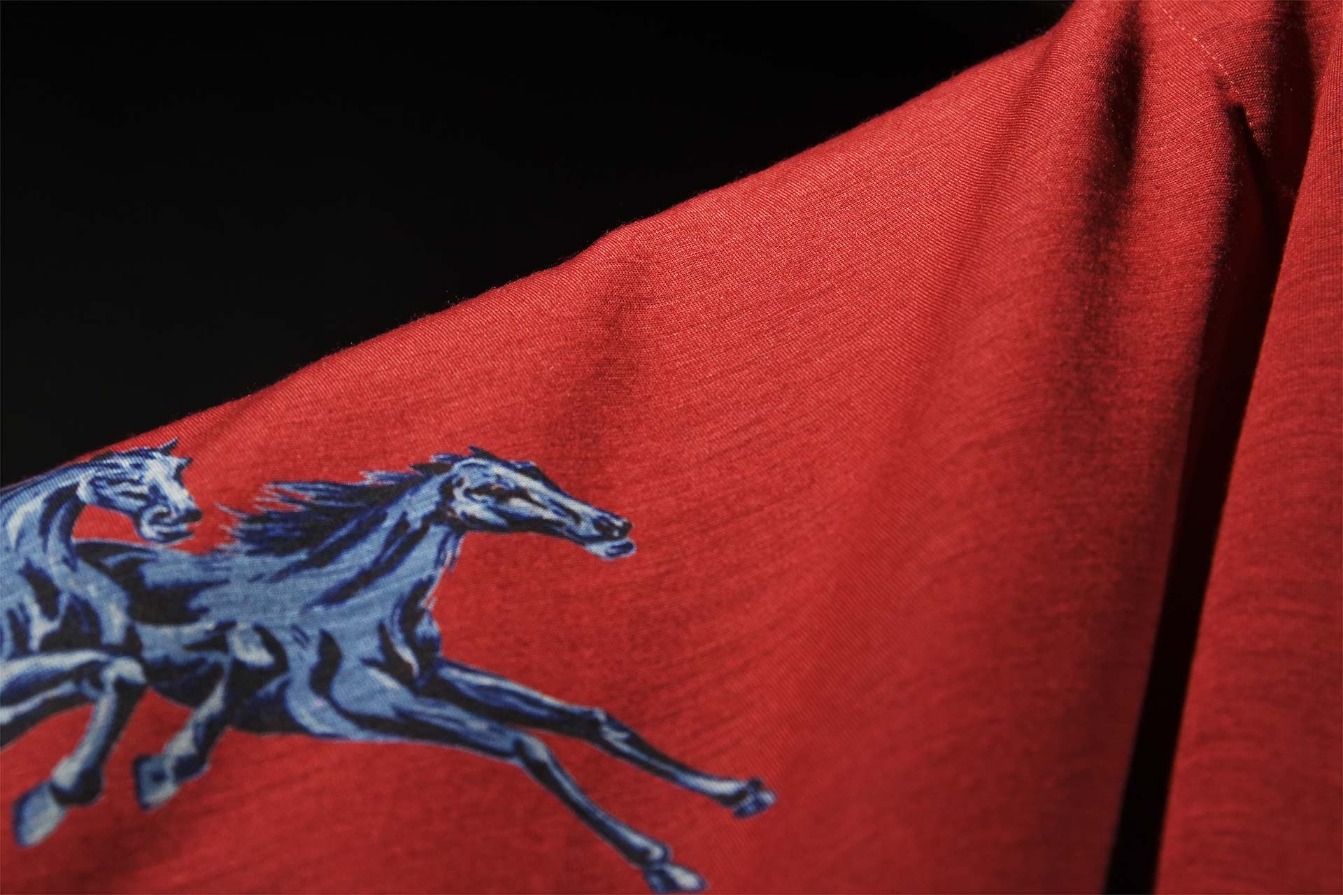 [PHOTO:FSWC-2006:photo01]