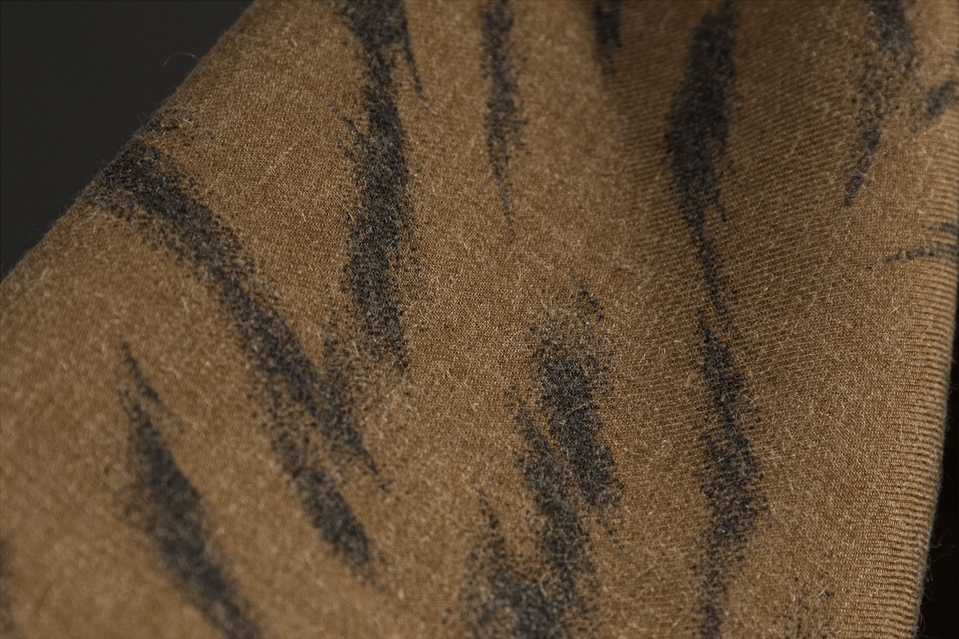 [PHOTO:FSAC-2108:photo02]