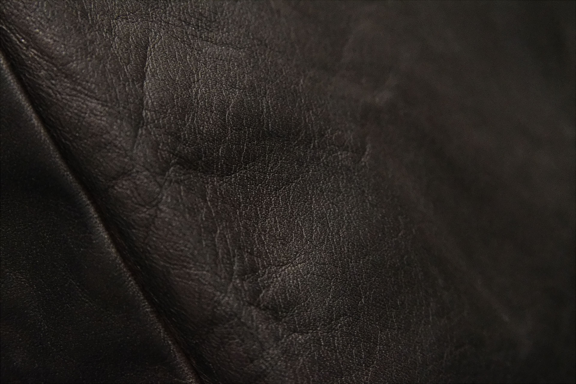 [PHOTO:FSPC-2103:photo02]