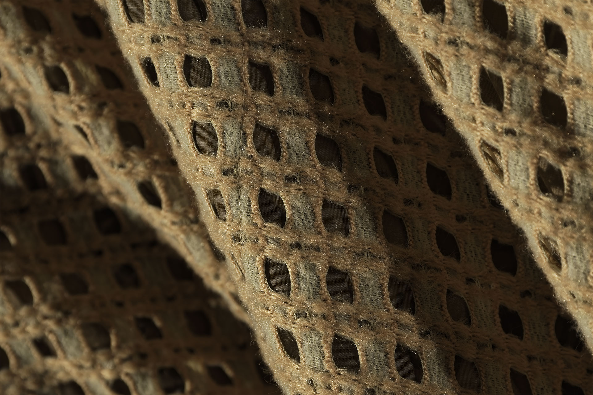 [PHOTO:FSWC-2107:photo03]