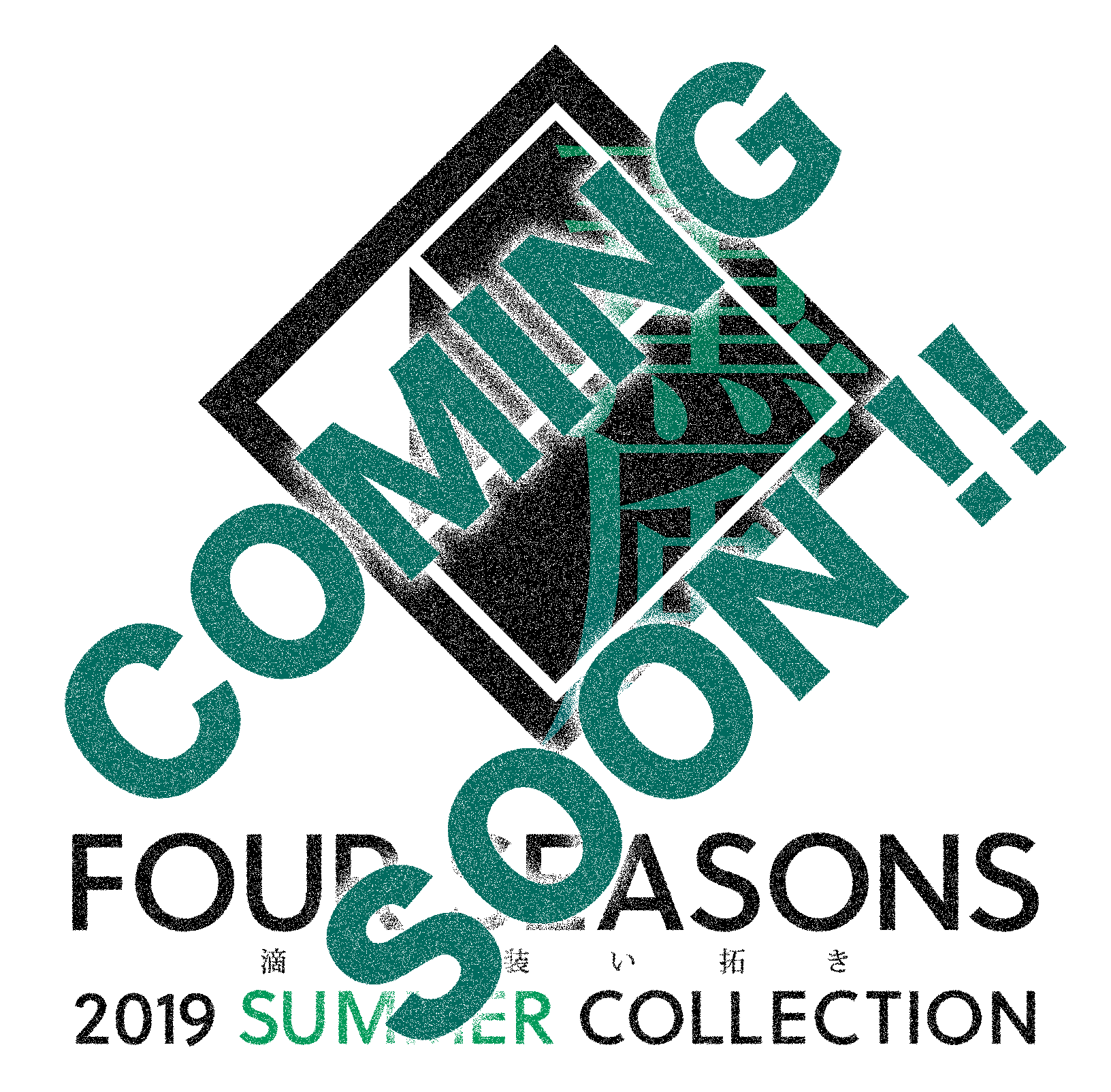 2019 SUMMER COLLECTION 先行受注会