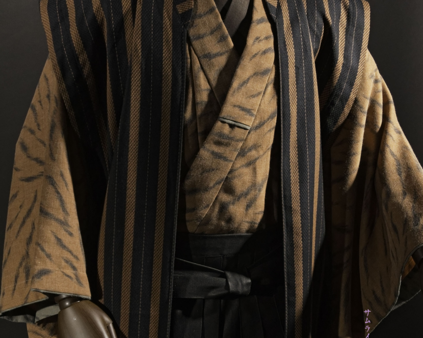 Stand-up Collar Robe